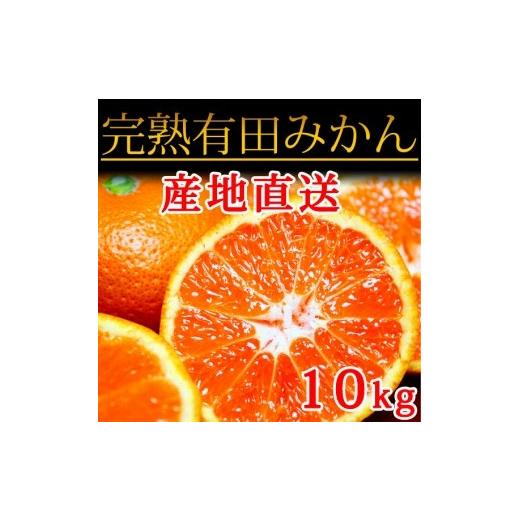 ふるさと納税 和歌山県 上富田町 完熟有田みかん 10kg