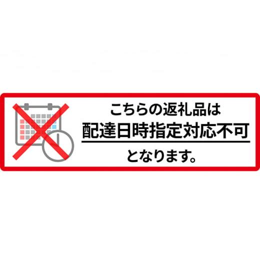 ふるさと納税 北海道 仁木町 先行予約 2024年10月発送 北海道 仁木町産 いちご「 天使のいちご (登録商標)AE(エンジェルエイト)」(S36粒) 今野農園