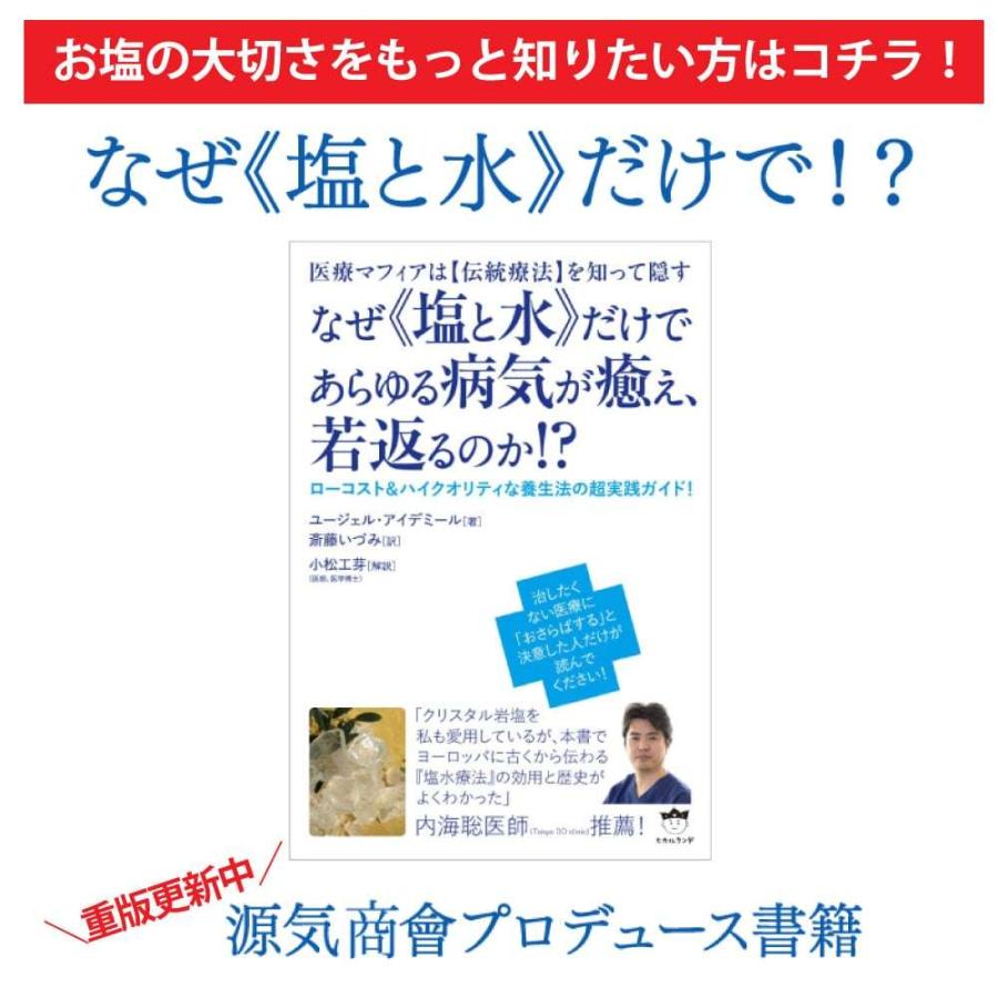 岩塩 ヒマラヤ岩塩 クリスタル岩塩 パウダータイプ 10kg 1kg×10袋 天然塩 自然塩 粉末 食用 無添加 源気商会