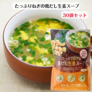 たっぷりねぎの鶏だし生姜スープ（９食入）30個セット チキンスープ 生姜スープ 葱スープ スープ 生姜葱スープ 鶏だしスープ