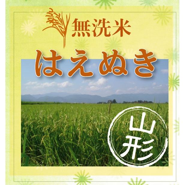 特価 新米 令和5年産 無洗米 5kg はえぬき 山形県産 特別栽培米 お米 送料無料（SL）