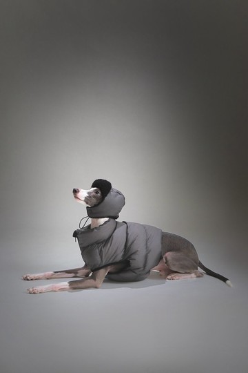 Ulahound星際系麵包背心-寵物羽絨棉保暖背心馬甲(外套)