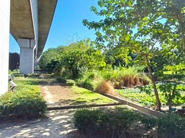 獨圳福段土地2｜區段徵收土地、增值潛力佳｜新北市樹林區圳福段