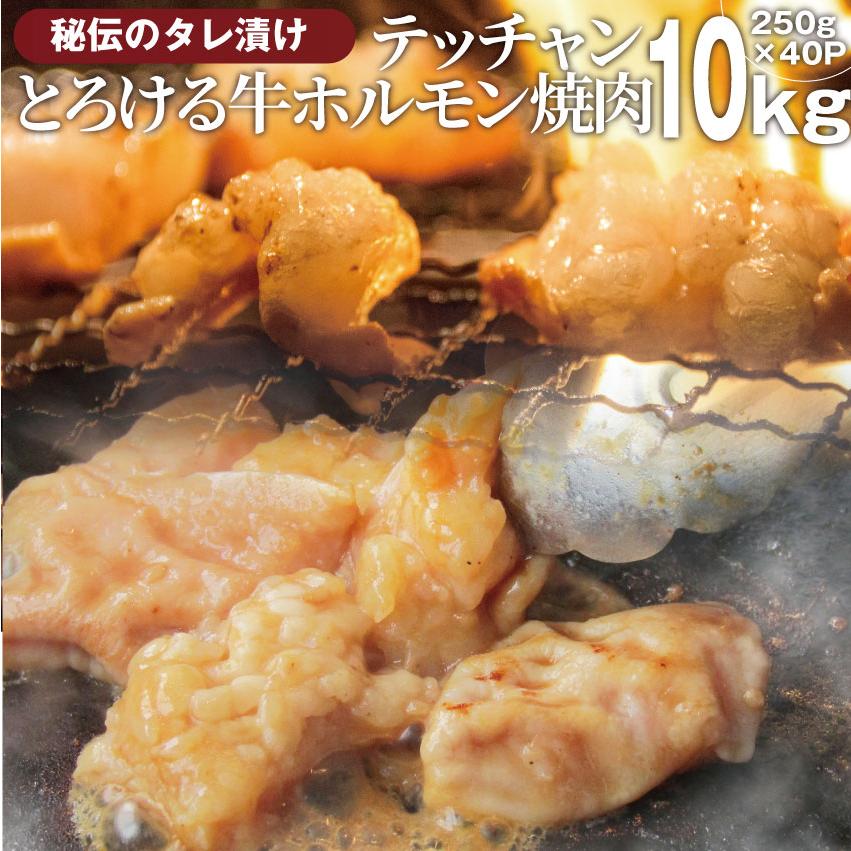 焼肉 牛肉 肉 ホルモン テッチャン モツ シマチョウ 10kg(250g×40袋) バーベキュー 焼くだけ