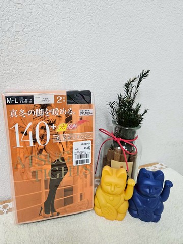 幸福買取??ATSUGI 厚木 冬季 褲襪 140丹-2足組-L~LL 光發熱 褲襪 保暖褲襪 厚款褲襪 打底 發熱褲 厚款冬季褲襪