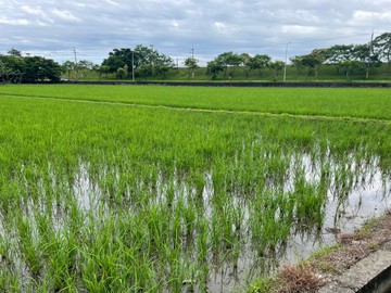獨家銷售高鐵特區預定地稀有出釋出增值小農地｜宜蘭縣宜蘭市凱旋一段