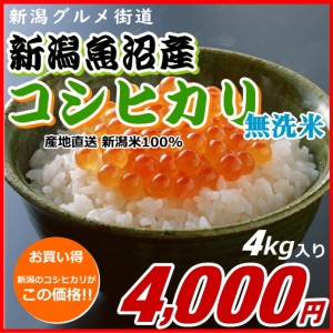 コシヒカリ 魚沼産 無洗米 4000円分（4キロ） 新米 新潟米 お米 新潟産 産地直送 米 コメ お歳暮 自宅用 ギフト 贈答 贈り物