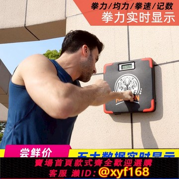 {可打統編 保固一年}拳擊訓練器拳力測力器爆發力測試儀力量測試機發泄靶沙包墻靶沙袋