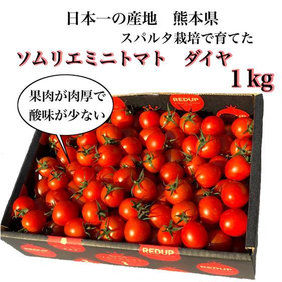 野菜 トマト 送料込み(1)ソムリエミニトマト　ダイヤ1kg 産地直送