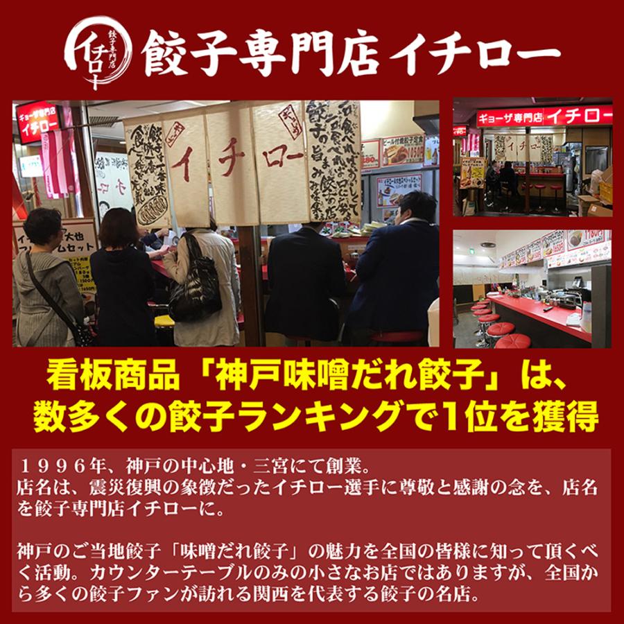 餃子専門店イチロー 味噌だれ餃子2種 48個  特製小籠包 18個 セット 送料無料 冷凍 餃子 ぎょうざ 小籠包 神戸 お取り寄せ 産地直送 グルメ ギフト 贈答