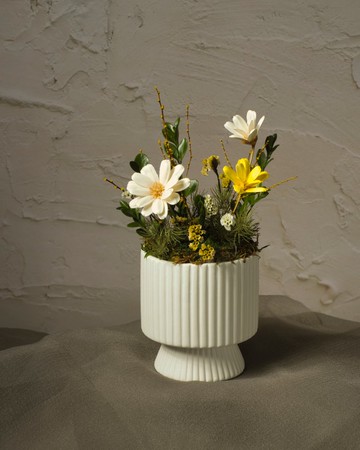 未夏系列-永生盆栽(附提盒)