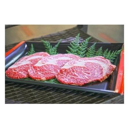 ふるさと納税 嘉穂牛 約500g ブランド牛 牛肉 福岡県嘉麻市