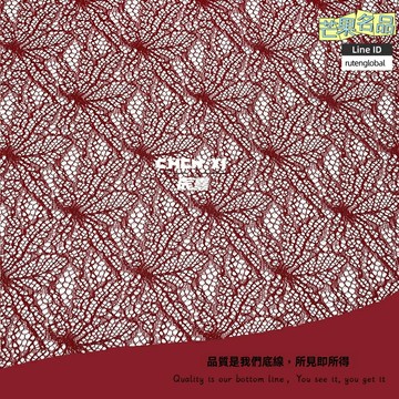 【鏤空蜻蜓】蕾絲面料 錦棉股線 亂網蕾絲 蜘蛛網蕾絲 針織面料 裝飾布 透氣鏤空 箱包服裝DIY 手工藝品輔料