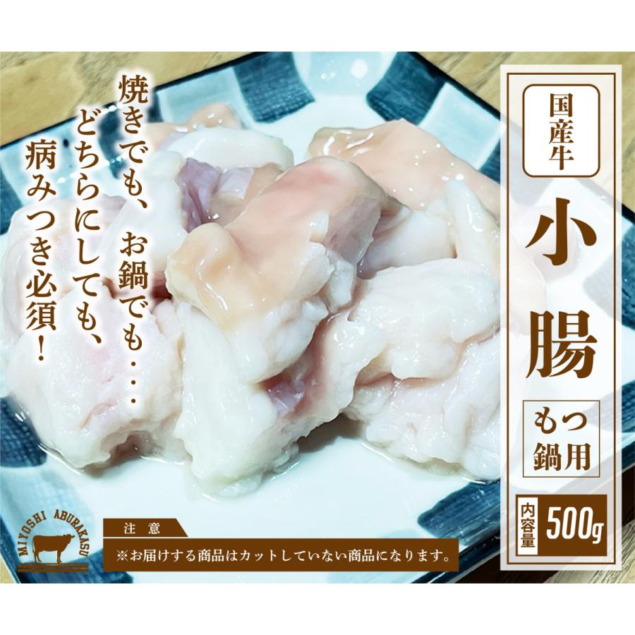 国産牛 小腸 500g   こてっちゃん   もつ鍋   冷凍 ブロック