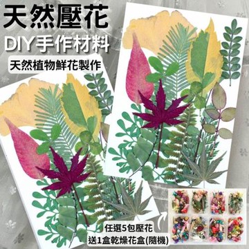【A-ONE】真花壓花 乾燥花 蠟燭 滴膠 押花 壁畫 DIY滴膠 書籤 多款可選 植物標本 乾燥花盒