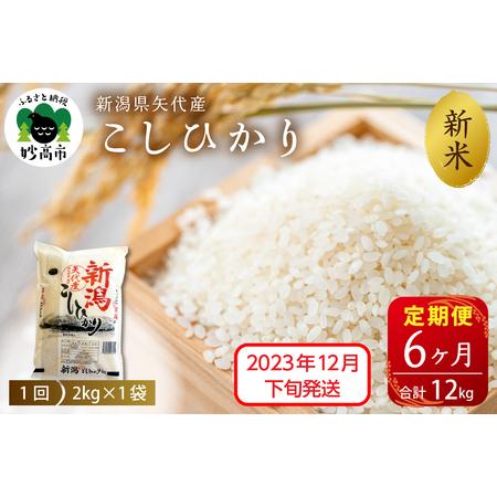 ふるさと納税 新潟県矢代産コシヒカリ2kg×6回（計12kg）※沖縄県・離島配送不可 新潟県妙高市