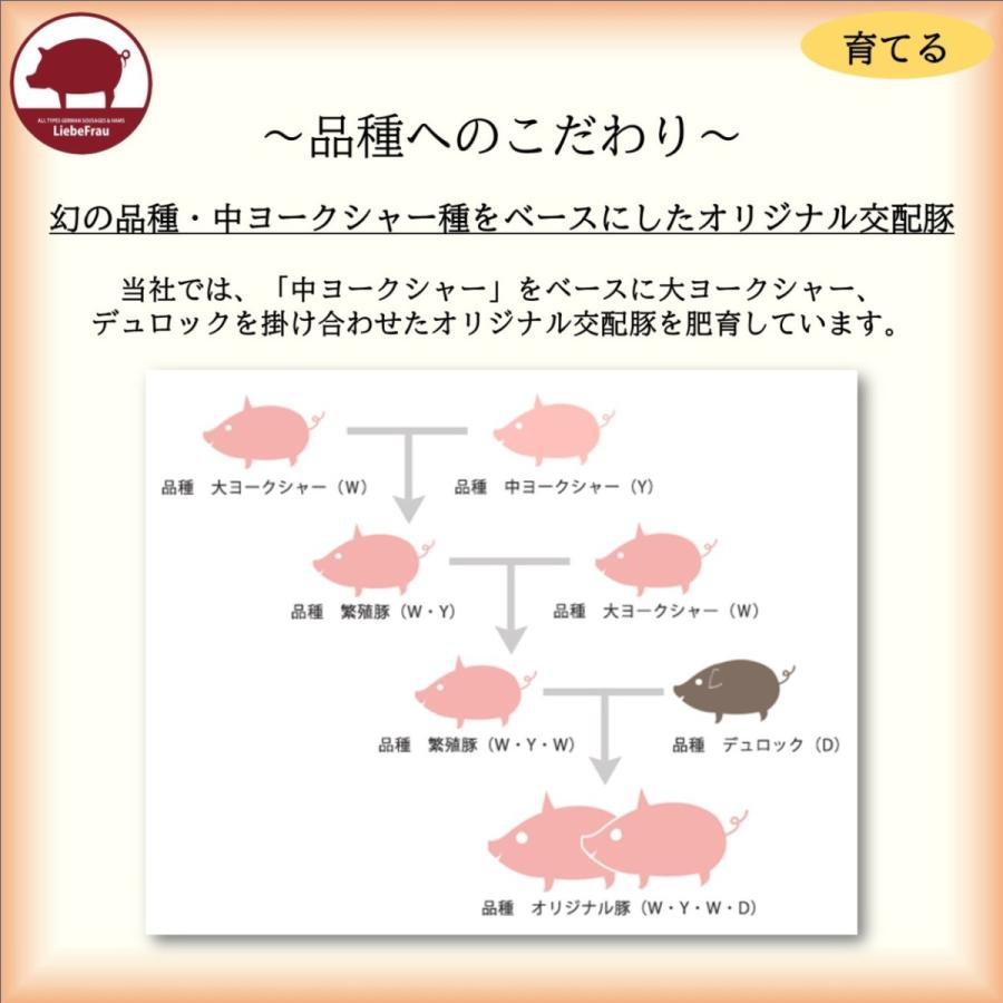 ソーセージ ウインナー 無添加 チーズインウインナー 徳島県産 阿波美豚 120g