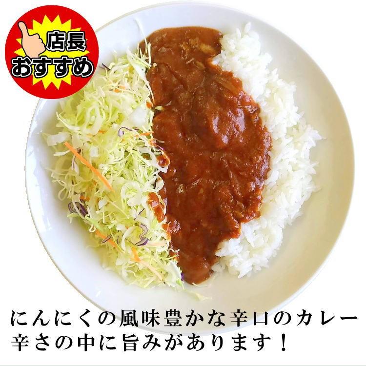 激辛ガーリックカレー 魔王のカレー メール便送料込み