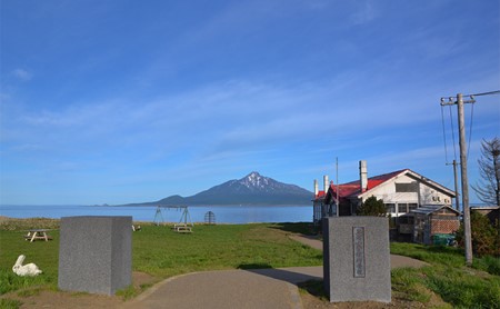 北海道 礼文島産 採れたて キタムラサキウニ 塩水パック 100g×1 生うに 生ウニ  塩水うに