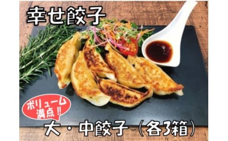 016-06幸せ餃子のボリューム満点こだわり大・中餃子（各3箱）