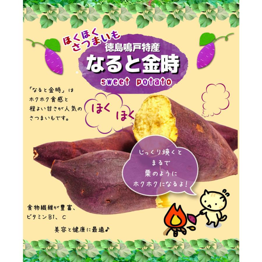 ギフト さつまいも なると金時 里むすめ 秀品 生芋 2Sサイズ 約60g〜90ｇ 約56〜84本 鳴戸市里浦 産地直送 5kg×1箱 鳴門金時 送料無料 J常