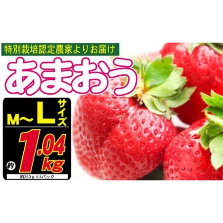 ふるさと納税 あまおう M〜L 約1.04kg 約260g×4パック ※配送不可：北海道・東北・沖縄・離島 福岡県朝倉市