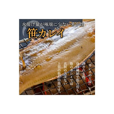 ふるさと納税 のどくろ、笹カレイ入り 一夜干し詰め合わせ ブラック 京都府京丹後市