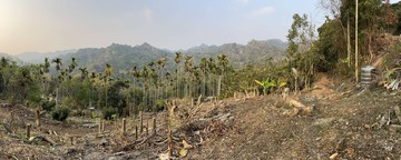 太平近學校公車站平緩農地｜台中市太平區竹村段