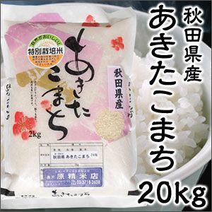 米 日本米 令和4年度産 秋田県産 あきたこまち 20kg