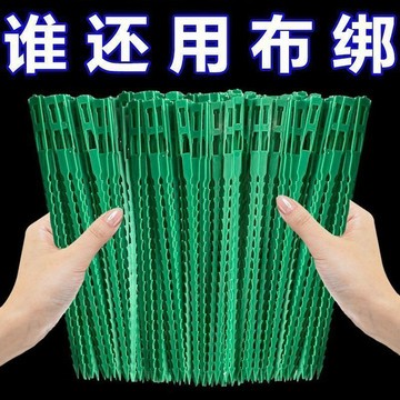 🔥桃園有貨🔥多功能爬藤魚骨紮帶菜園用綁紮枝幹收攏架園藝魚骨扎線植物固定器 魚骨束帶 捆綁綫 園藝萬能束帶 電線光纜束帶