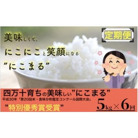 ふるさと納税 ◎令和4年産米◎四万十の美味しいお米（にこまる）。高知のにこまるは四万十の仁井田米／Sbmu-12 高知県四万十町