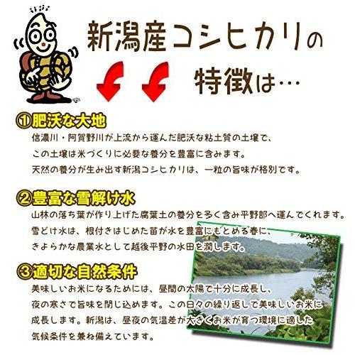 新米 精米 10kg 新潟県産 コシヒカリ 白米 令和5年産（5kg×2))