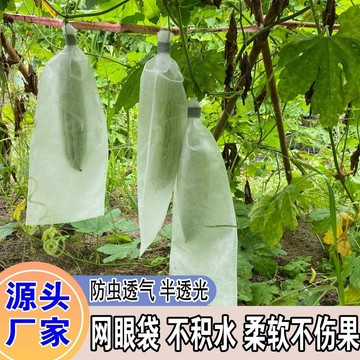 🔥桃園有貨🔥【韌性耐用】果蔬防蟲網袋無紡布苦瓜絲瓜裝羊角蜜防針蜂防蠅透氣保護專用套袋 BFYA