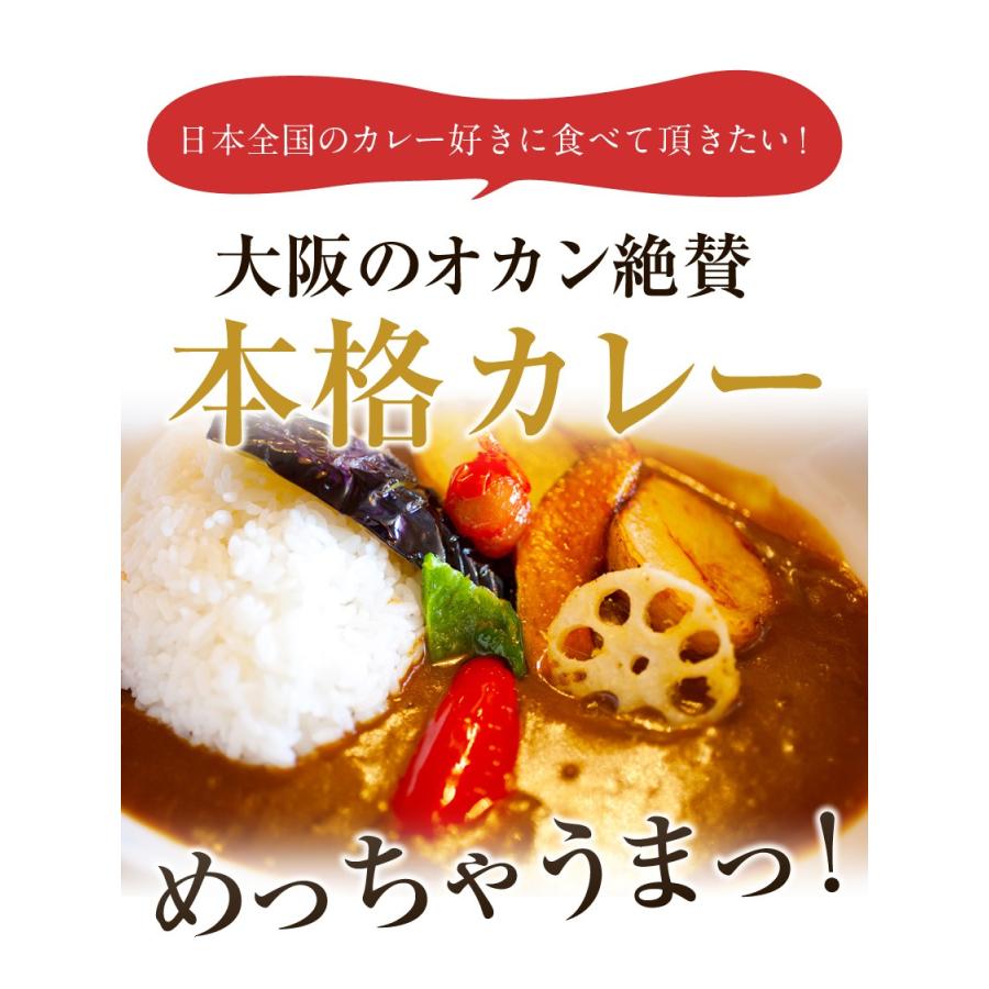 プレミアム会員1000円 レトルトカレー 食べ比べ5食セット 大阪風甘辛カレー3袋＋野菜ビーフカレー2袋 計5袋 中辛 非常食 保存食 キャンプ飯 アウトドア