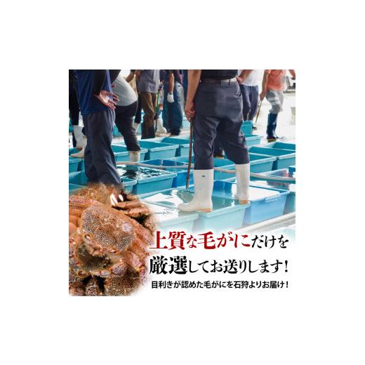 ふるさと納税 北海道 石狩市 130012 前浜ゆで毛がに 姿(約360g×2尾)2人用