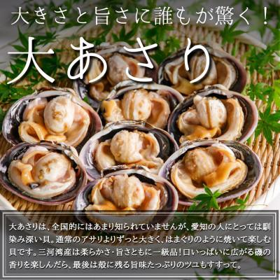 ふるさと納税 南知多町 大あさり、赤エビ、ホタテ、サザエの海鮮バーベキューセット約2kg(CAS冷凍BBQ)