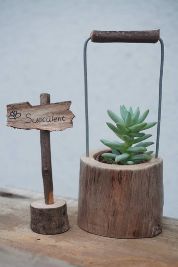 多肉小水桶附木製名牌---綠設工作室