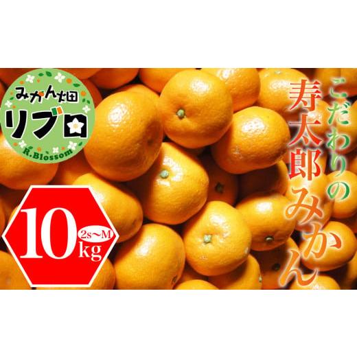 ふるさと納税 静岡県 沼津市 寿太郎 みかん 10kg 産地直送 柑橘 訳あり