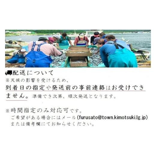 ふるさと納税 鹿児島県 肝付町 C09001 地魚詰め合わせセット(約6〜8人分) 