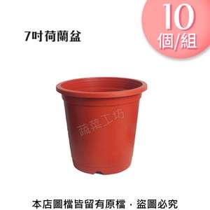 7吋荷蘭盆(栽培盆)10個/組