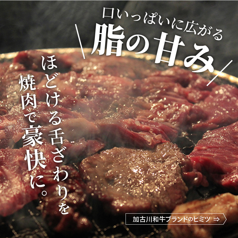 加古川和牛焼肉セット（700g） 肩モモ・カルビ