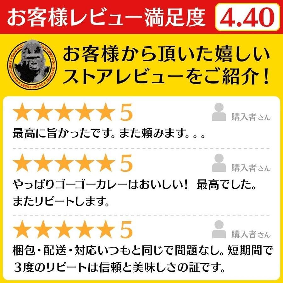 ゴーゴーカレー レトルトカレー 金沢カレー 金沢カリー 10箱 10食 セット レトルト食品