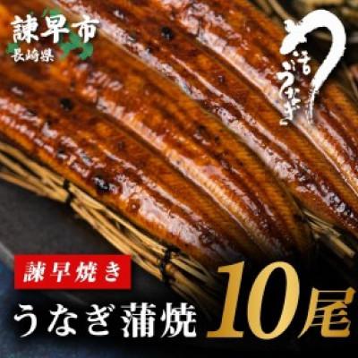 ふるさと納税 諫早市  うなぎ蒲焼10尾