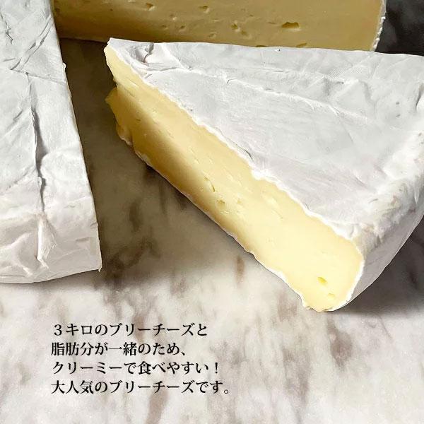 ブリーチーズ 1KG ブリー 白カビ フランス産 業務用 ブリー