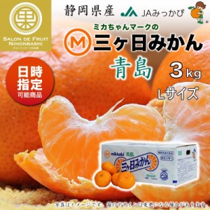 [予約 2023年 12月31日必着] 三ケ日みかん 青島 約 3kg Lサイズ 静岡県産 JAみっかび 産地箱 冬ギフト お歳暮 御歳暮 大晦日必着指定