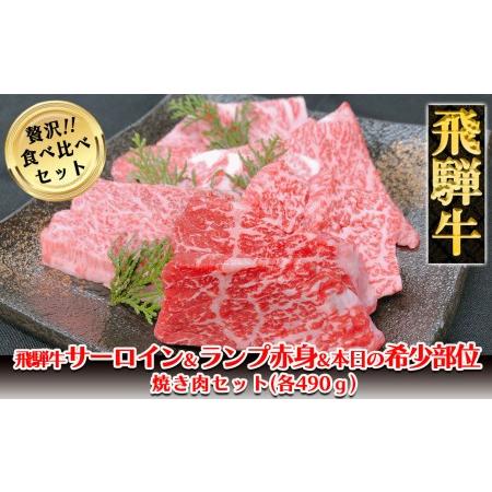 ふるさと納税 飛騨牛サーロイン・ランプ赤身・本日の希少部位焼肉セット 各490g  牛肉 国産 ブランド牛 岐阜県下呂市