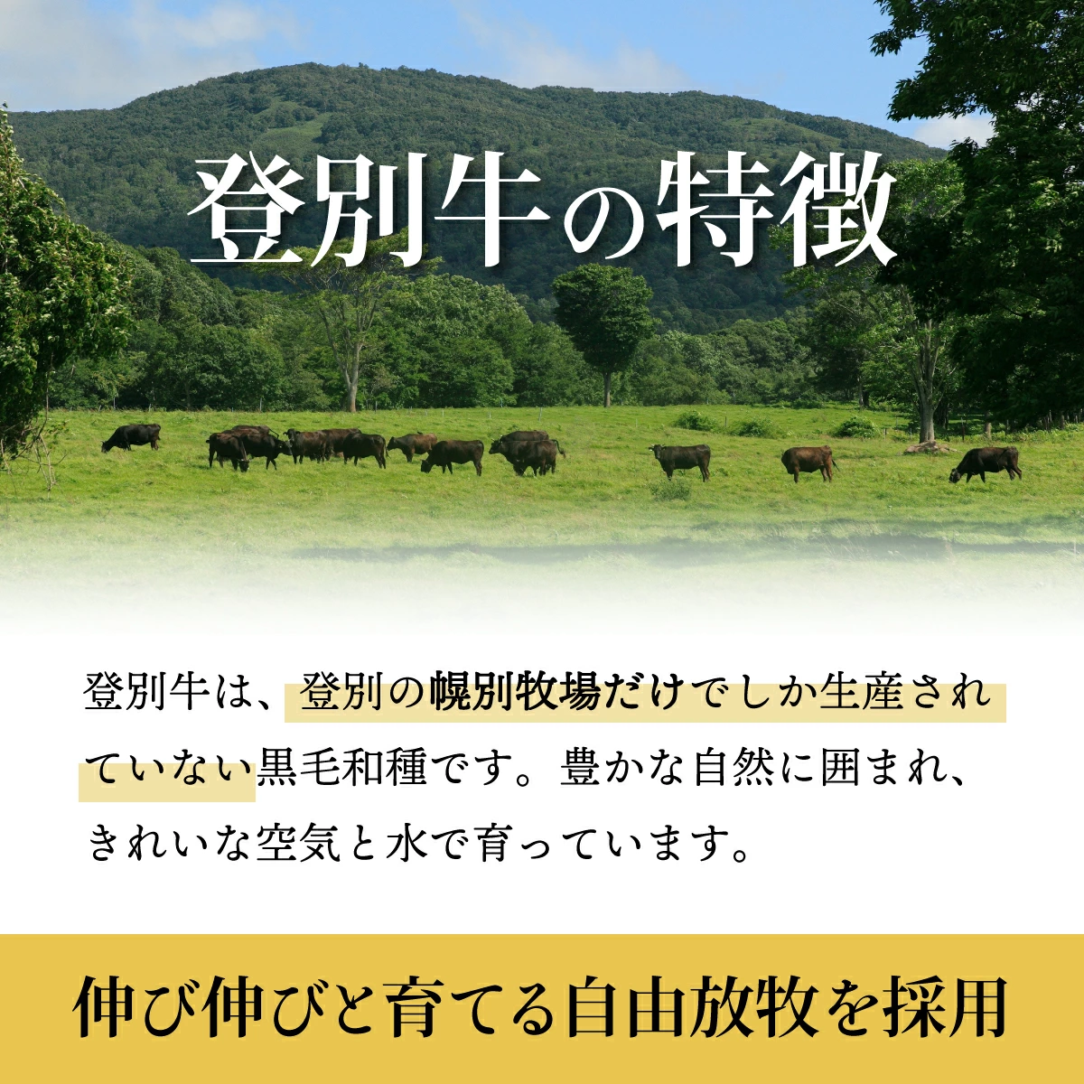 登別牛サーロインステーキ肉400g（200g×2枚）