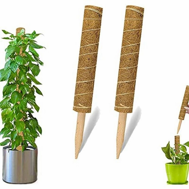 Siawadeky 植物支柱 園芸支柱 2本セット つる性植物 サポート 観葉植物 モンステラ ココナッツ支柱 ジョイント式 植物ラベル 植 通販 Lineポイント最大0 5 Get Lineショッピング