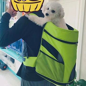 臺灣發貨>【拼品質】狗狗外出便攜包柯基法鬥犬狗狗揹包貓咪出行雙肩寵物包LVG