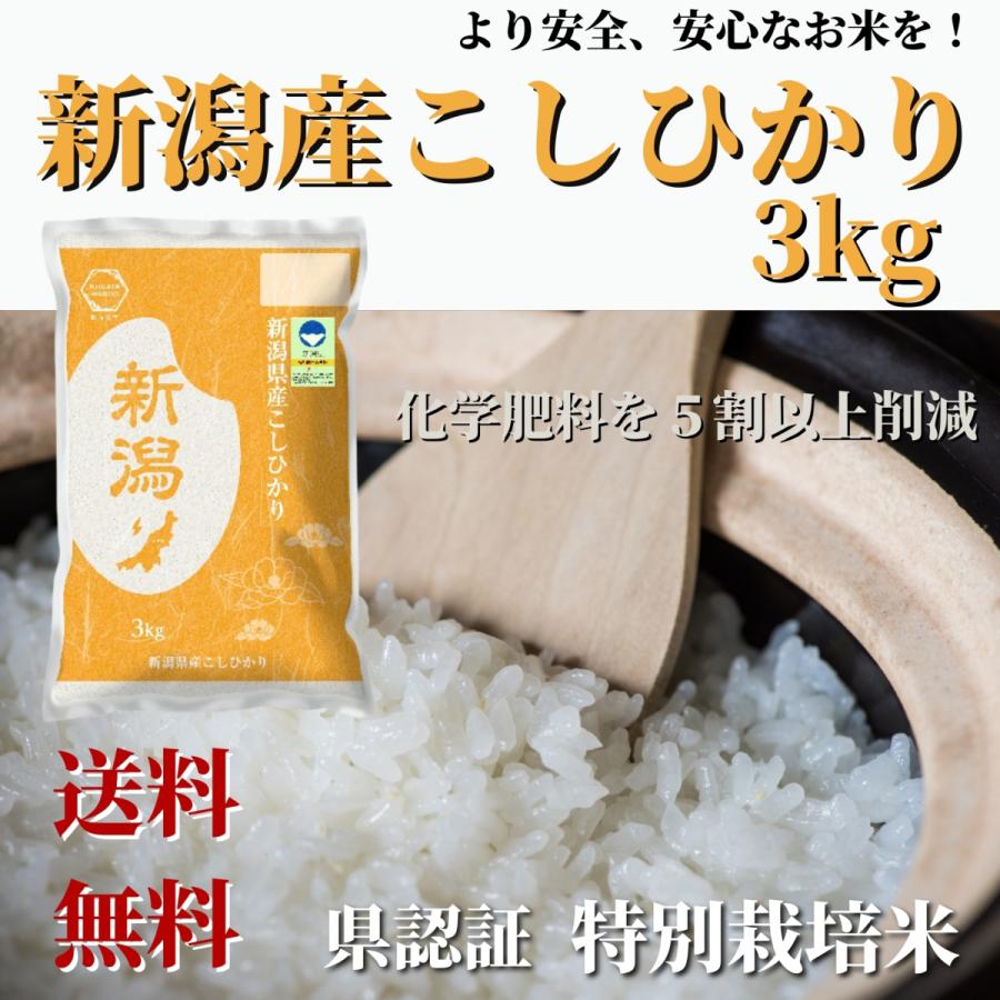 新米 令和５年産 お米 3kg 新潟県認証 特別栽培米 新潟産 コシヒカリ 精米 贈り物 ギフト